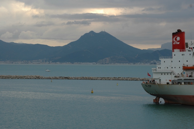  DSC0424